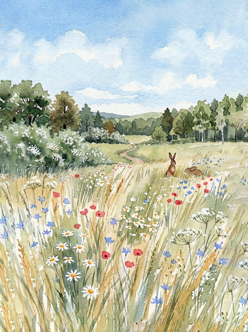 British wildflower meadow in summer with ox-eye daisies, poppies and a brown hare in the distance, loose impressionistic watercolour fine art print