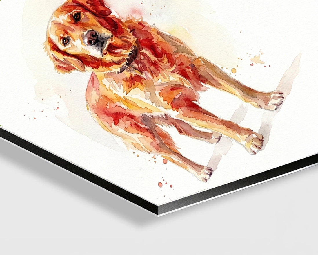Fine Art on Dibond