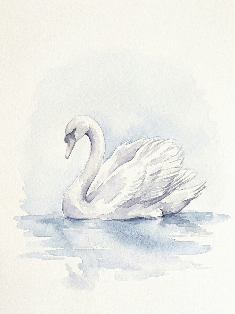 White mute swan gliding on calm water with soft blue-grey watercolour reflections on an almost-white background, fine art print