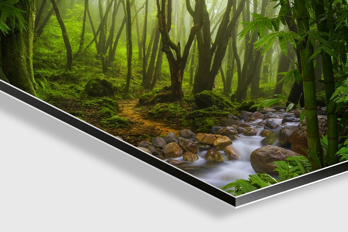 Dibond Print — Fine Art Wall Print | SnappyTack