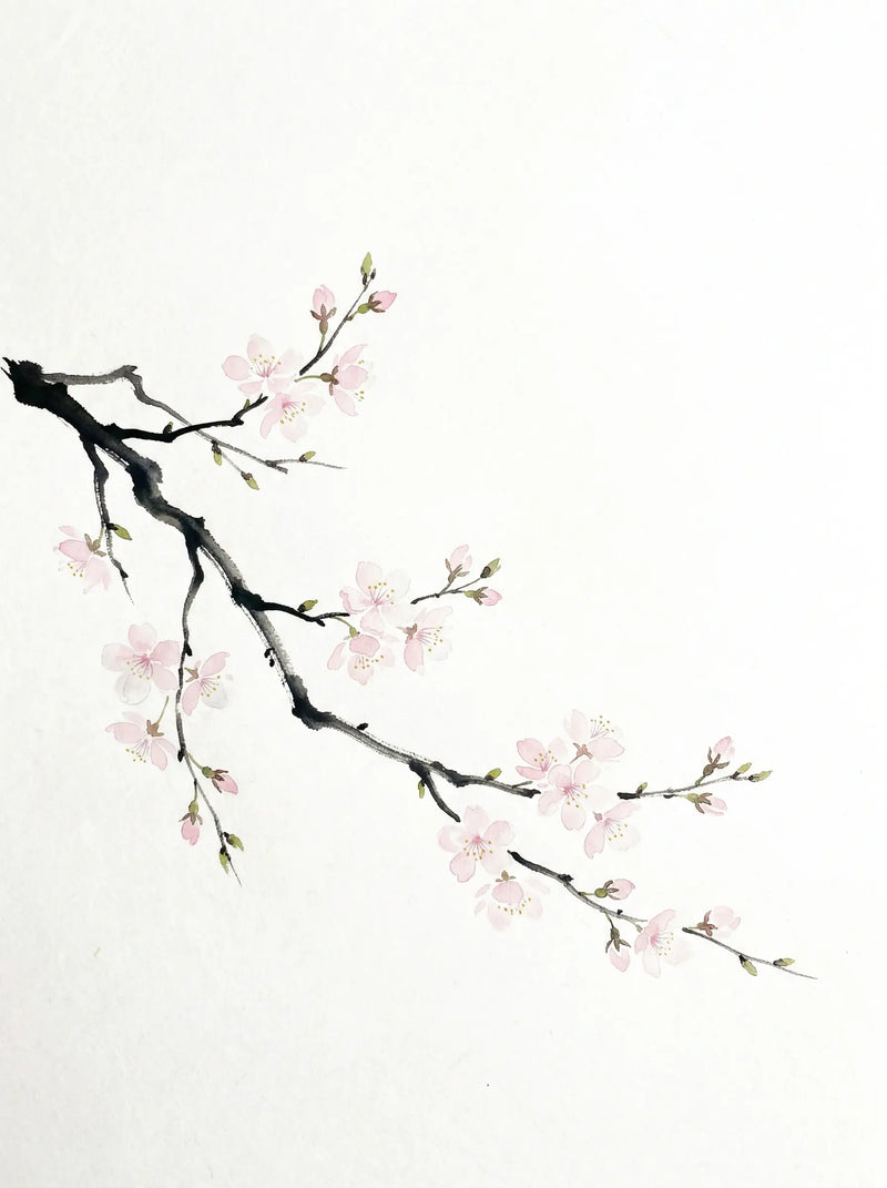 Minimalist watercolour of a cherry blossom branch with black ink strokes and soft blush pink petals on white ground — Japandi fine art print by SnappyTack
